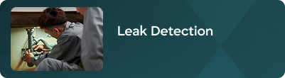 Leak detection